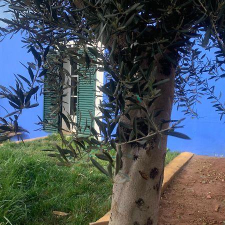 Pensjonat Casa Dos Mangues São Martinho do Porto Zewnętrze zdjęcie