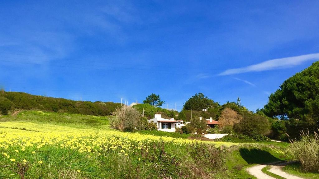 Pensjonat Casa Dos Mangues São Martinho do Porto Zewnętrze zdjęcie