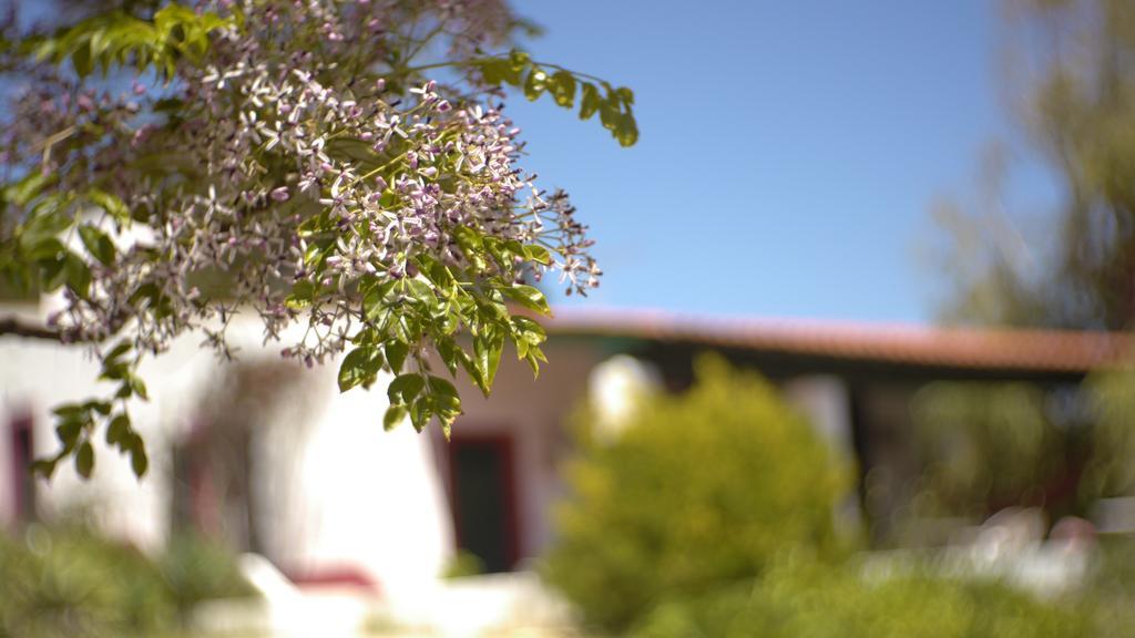 Pensjonat Casa Dos Mangues São Martinho do Porto Zewnętrze zdjęcie