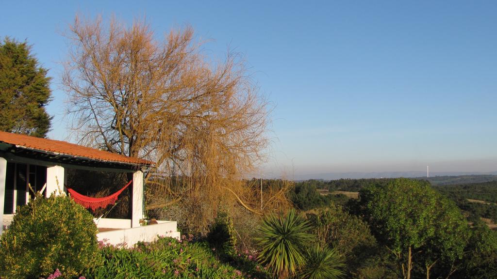 Pensjonat Casa Dos Mangues São Martinho do Porto Zewnętrze zdjęcie