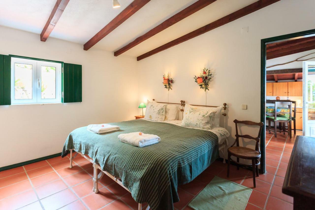 Pensjonat Casa Dos Mangues São Martinho do Porto Zewnętrze zdjęcie